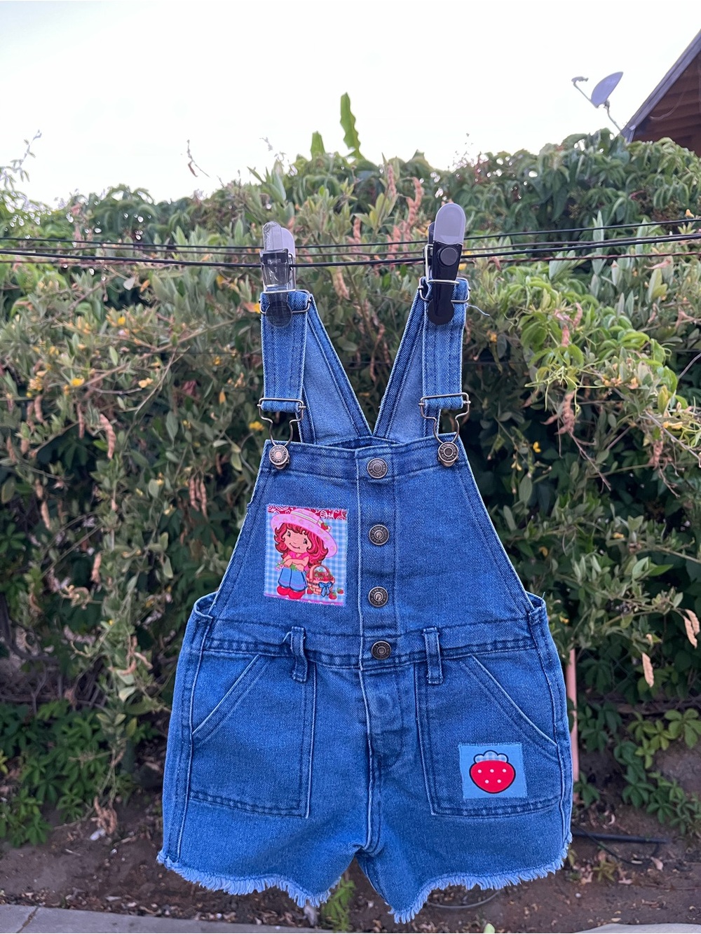 Strawberry Shortcake shortalls